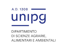 Logo Universita degli Studi di Perugia - DSA3
